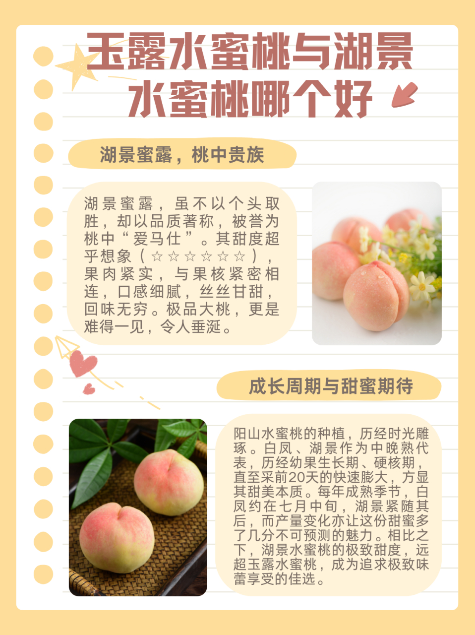 湖景水蜜桃比玉露水蜜桃甜 阳山水蜜桃主打三个品种 99雨花露 甜度
