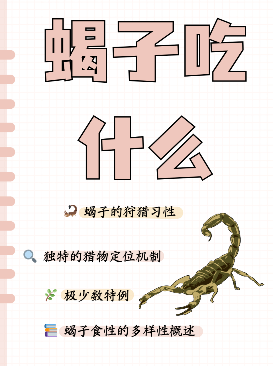 蝎子吃什么  蝎子取食无脊椎动物,如蜘蛛,蟋蟀,小蜈蚣,多种昆虫的幼虫
