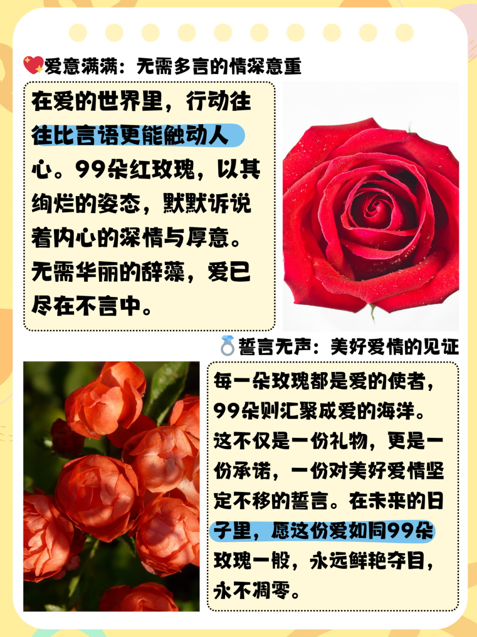 玫瑰花花语话语图片