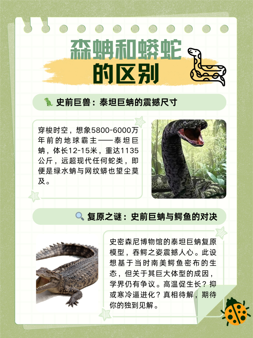 森蚺和蟒蛇的区别  看到标题,想必对动物,特别是对两爬动物小有了解的