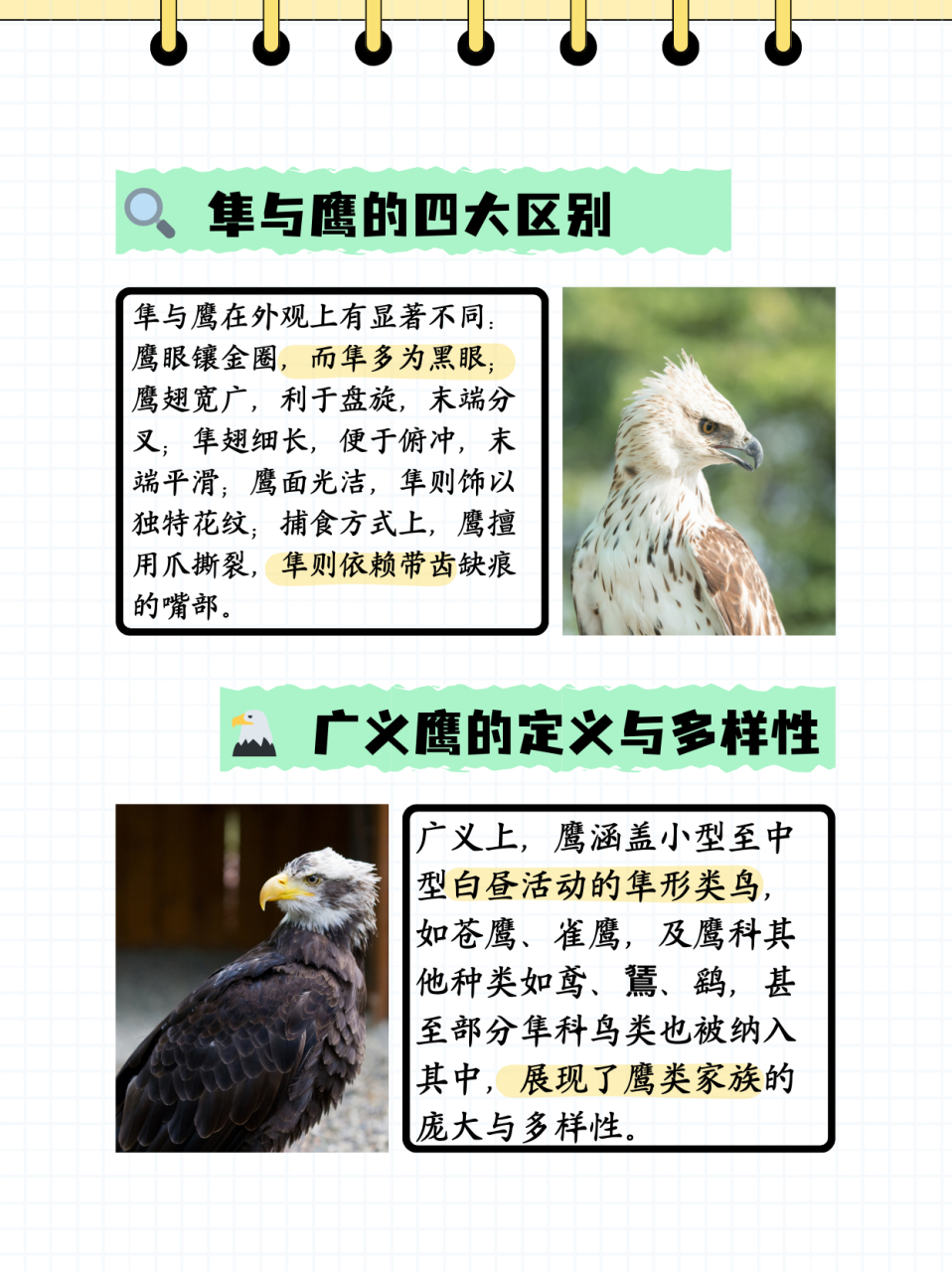 鹰和隼有什么区别  隼和鹰的主要区别在于眼睛,翅膀,脸部花纹和爪子.
