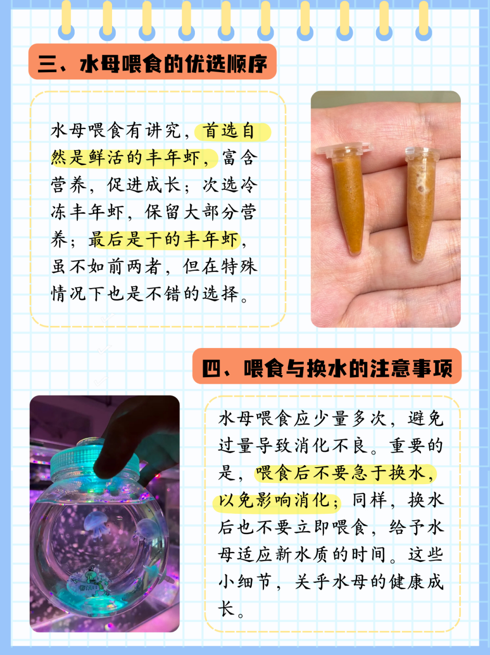 水母吃什么  水母摆摊后可别忘了犒劳我们的小水母哦,水母回到家记得