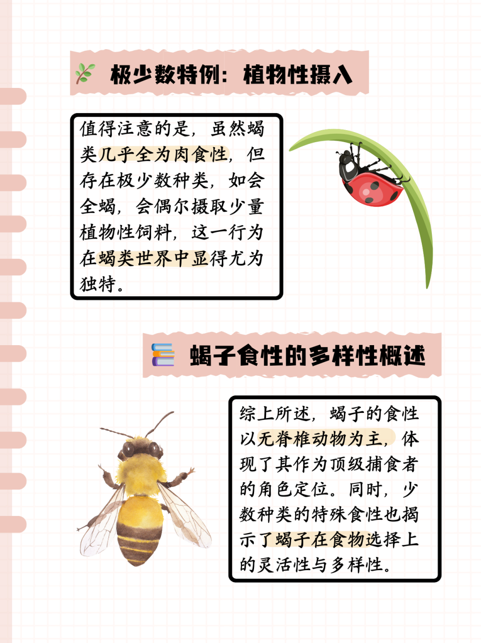 蝎子吃什么  蝎子取食无脊椎动物,如蜘蛛,蟋蟀,小蜈蚣,多种昆虫的幼虫