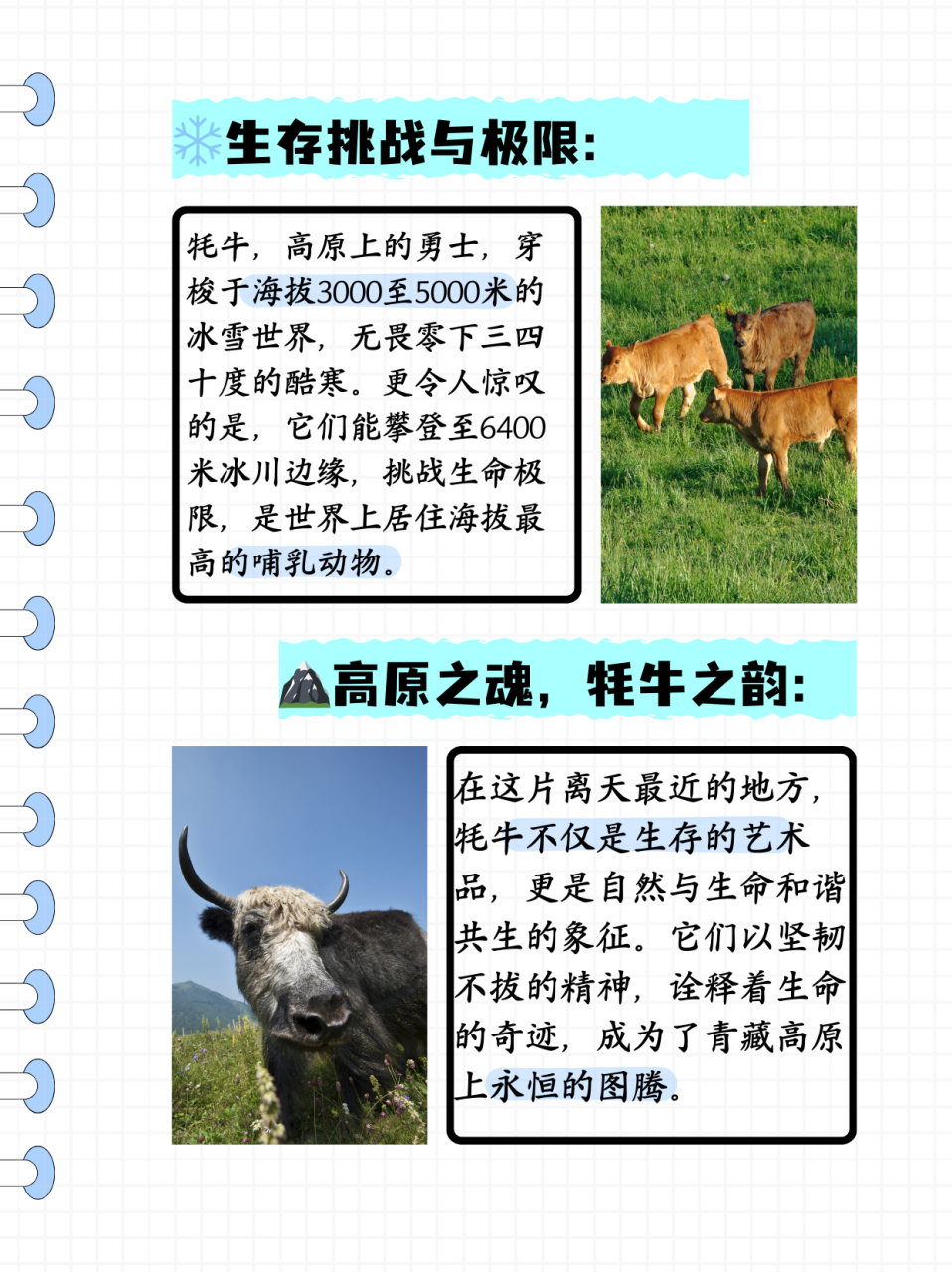 耗牛和牦牛的区别  其实耗牛和牦牛是一种动物,只有牦牛没有耗牛,耗牛