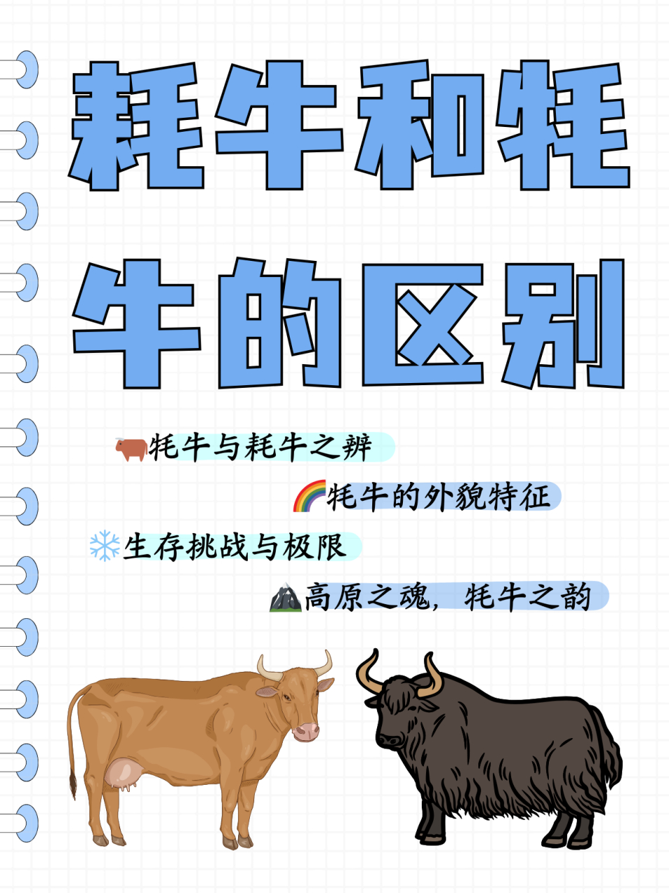 耗牛和牦牛的区别  其实耗牛和牦牛是一种动物,只有牦牛没有耗牛,耗牛