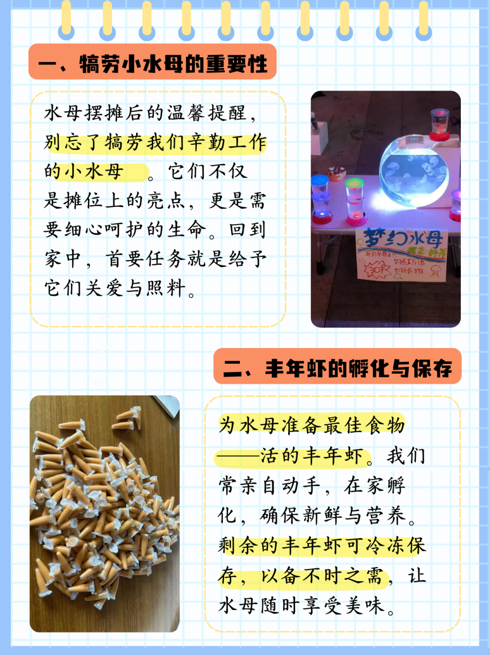 水母吃什么  水母摆摊后可别忘了犒劳我们的小水母哦,水母回到家记得