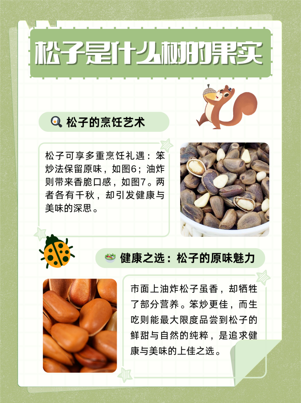 松子是什么树的果实  图1是松树上的松塔,但是不是所有松树都可以结