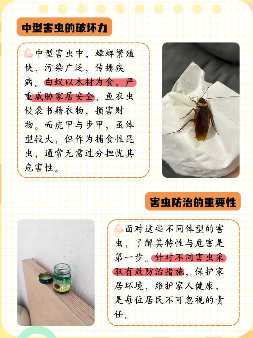 墙上爬的很小的虫子叫什么虫子  9499微型害虫: 97书虱:体型在