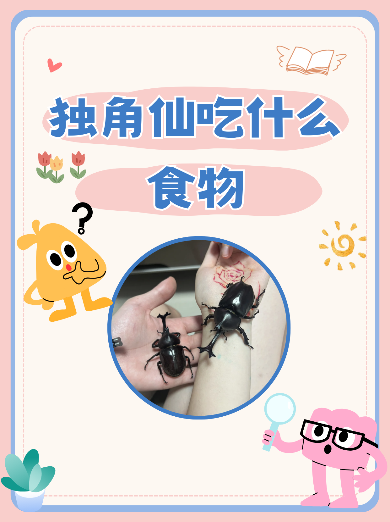 独角仙吃什么食物  独角仙成虫在野外环境里会吸食树脂,果实等带有
