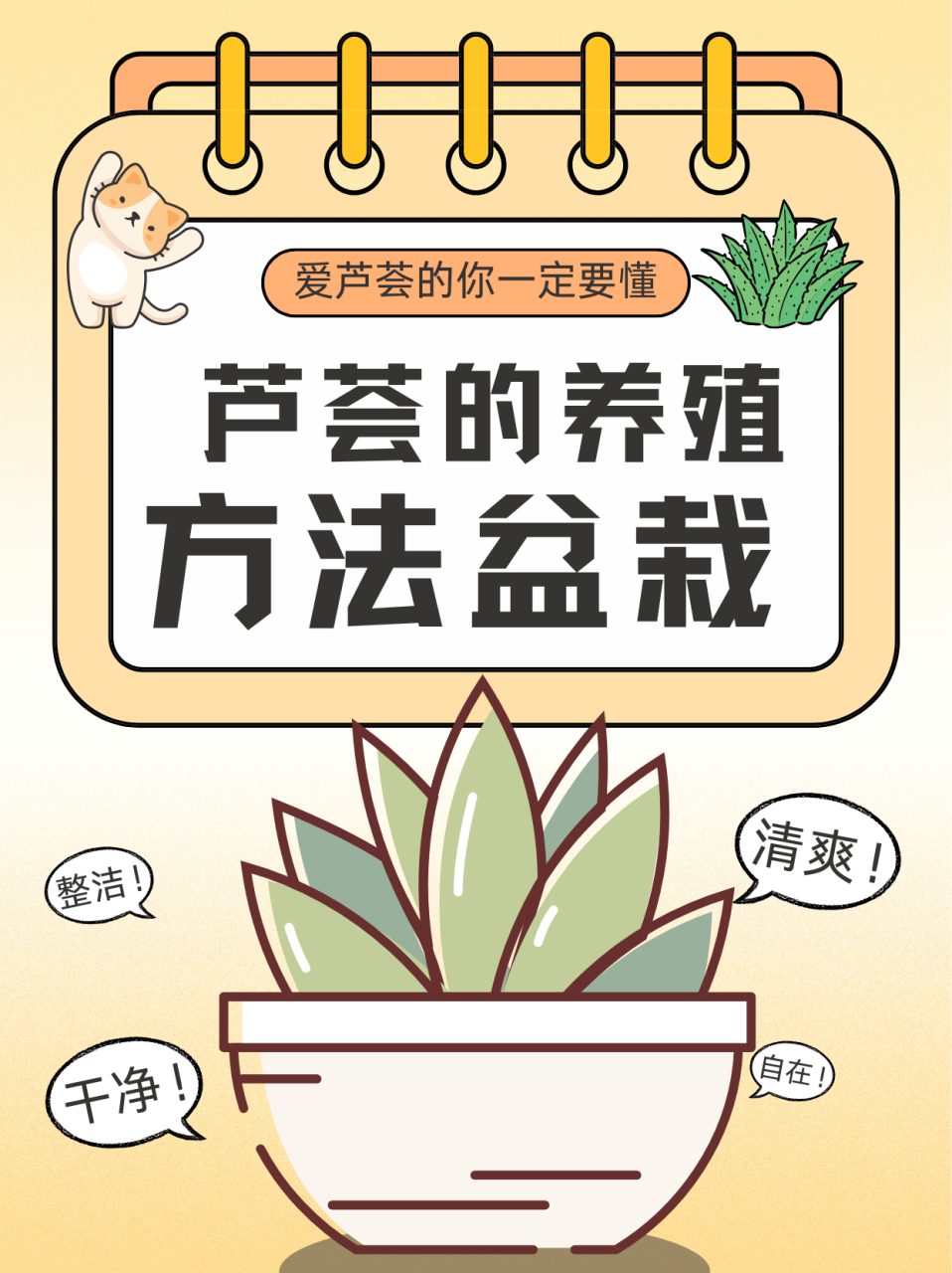 芦荟的养殖方法 盆栽  名:芦荟/aloe vera 科:阿福花科 属:芦荟属