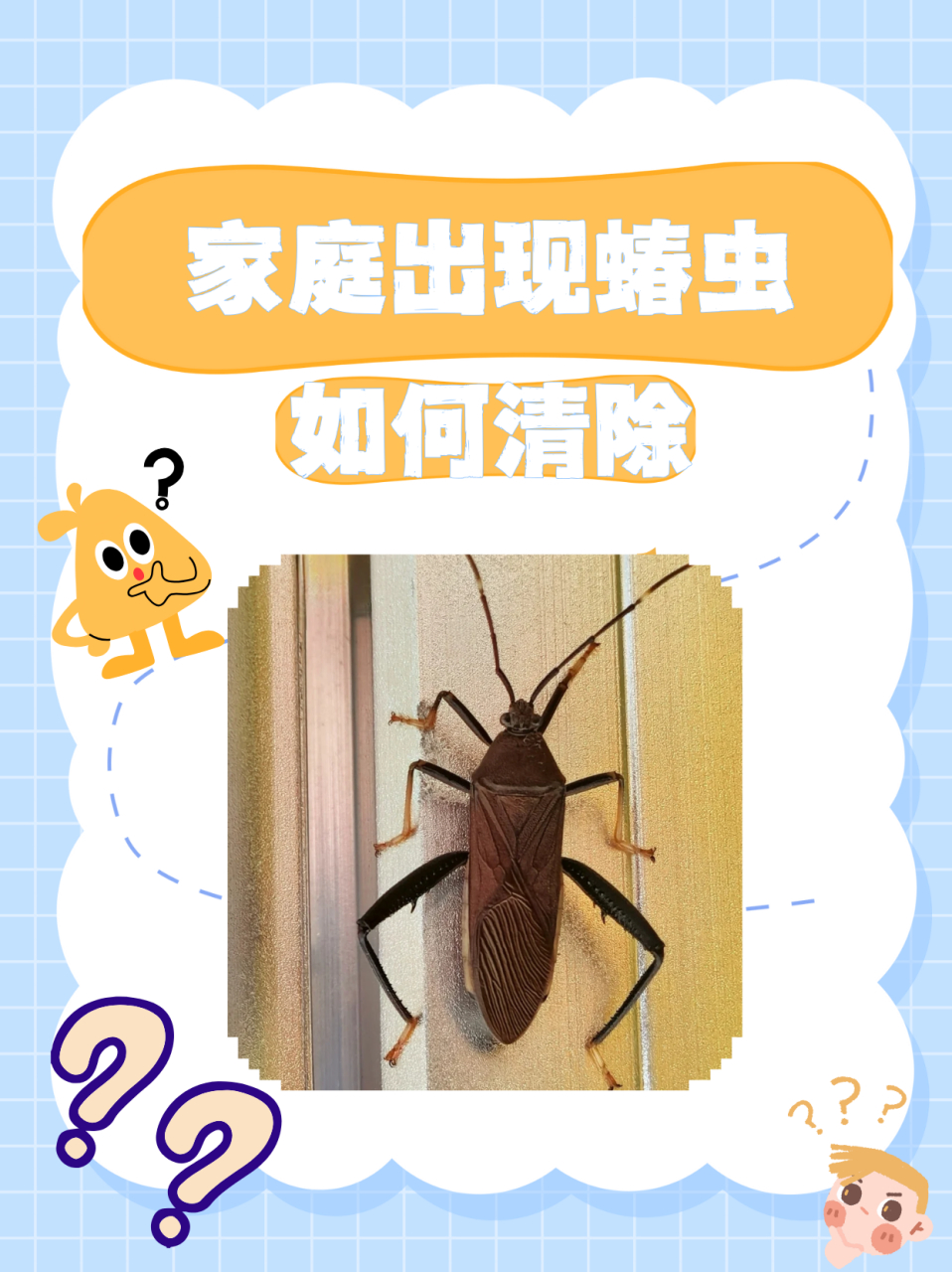 物理驱虫法:蝽虫出现在家里一般属于偶然情况,并非是蝽虫在家里叫行