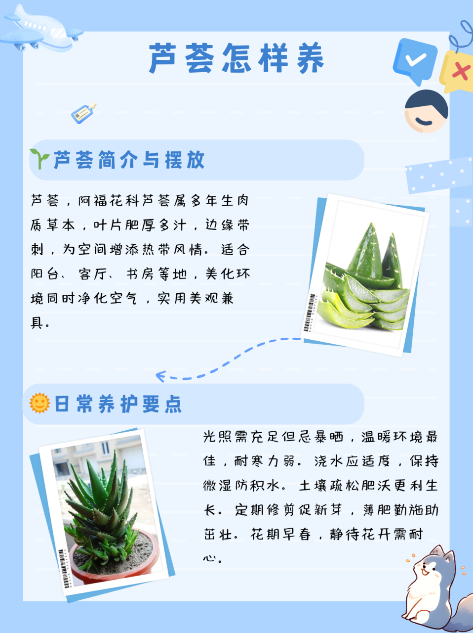 芦荟怎样养  名:芦荟/aloe vera 科:阿福花科 属:芦荟属 芦荟是多年生