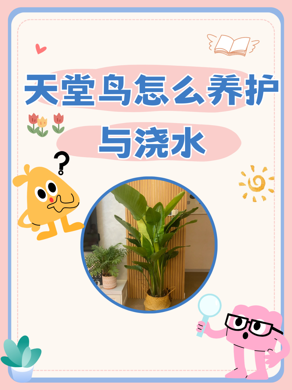 天堂鸟怎么养护与浇水  观赏特征:观叶 养护难度:一般 温度需求:18~30