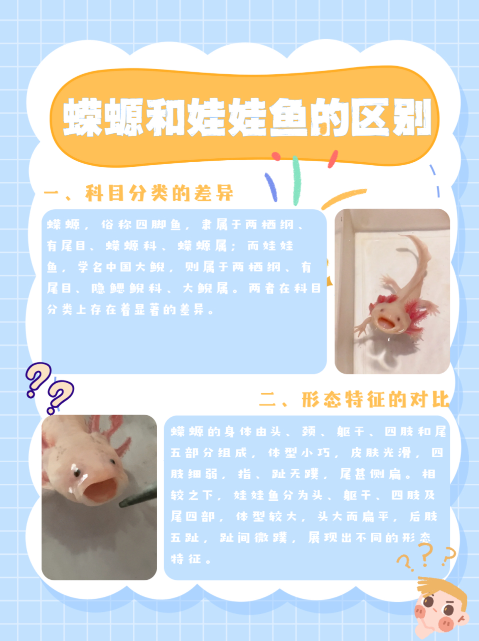 蝾螈和娃娃鱼的区别  主要区别有,科目分类不同,形态特征不同,生活