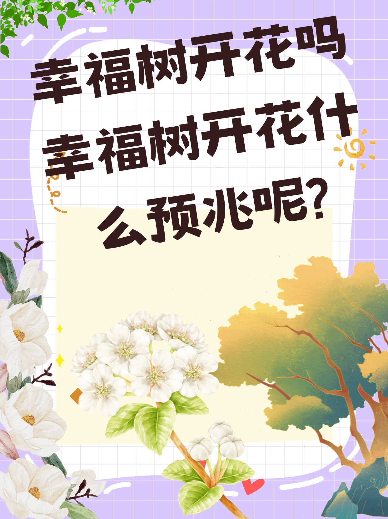 菜豆树手绘图片