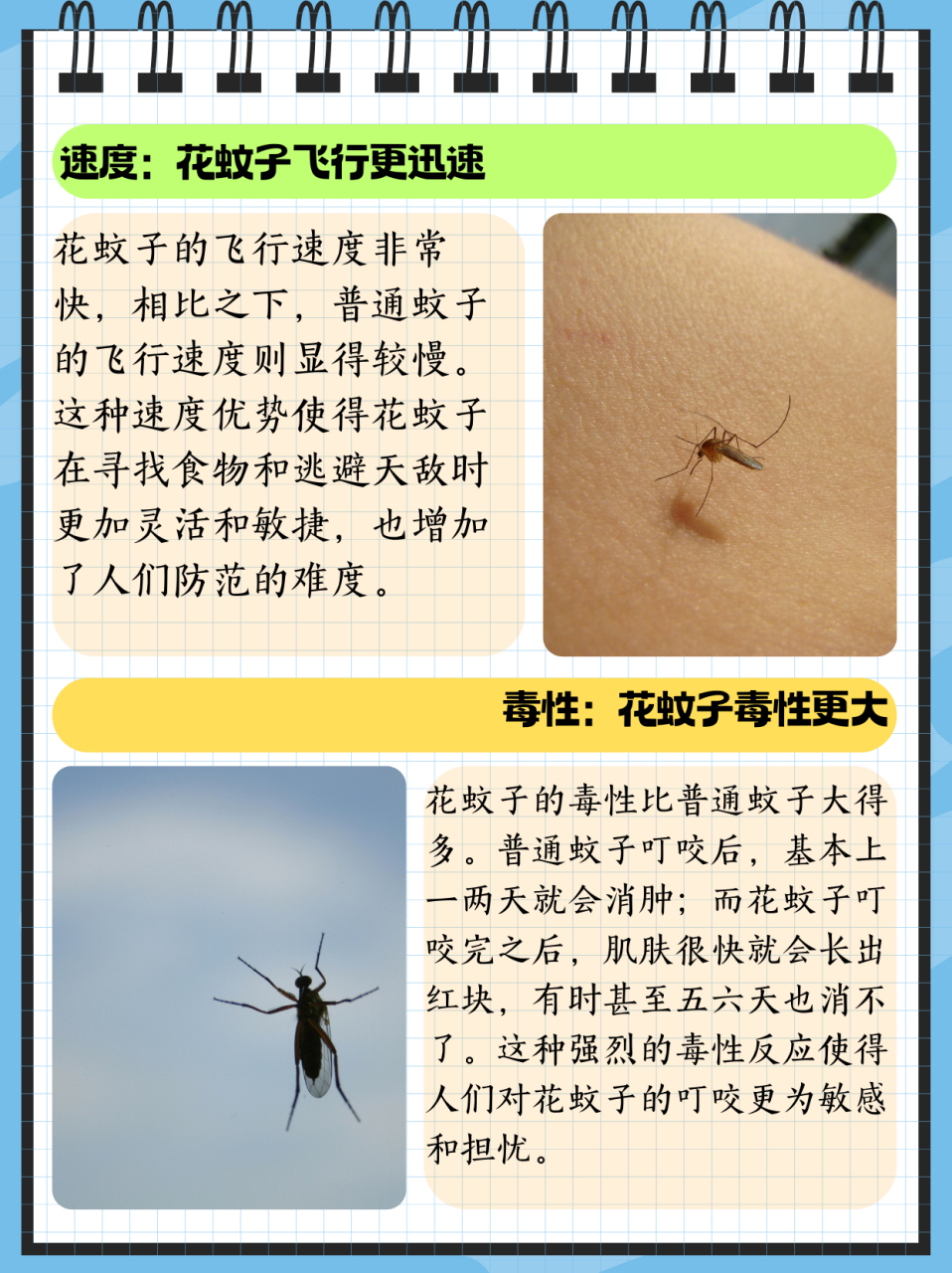 花蚊子和普通蚊子的区别  外形特征:花蚊子是黑色带白点,普通的蚊子则