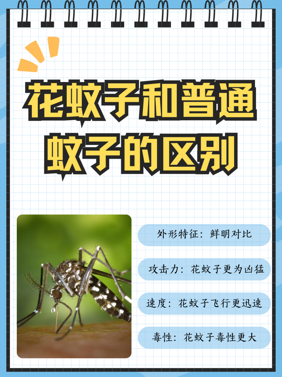 花蚊子和普通蚊子的区别  外形特征:花蚊子是黑色带白点,普通的蚊子则