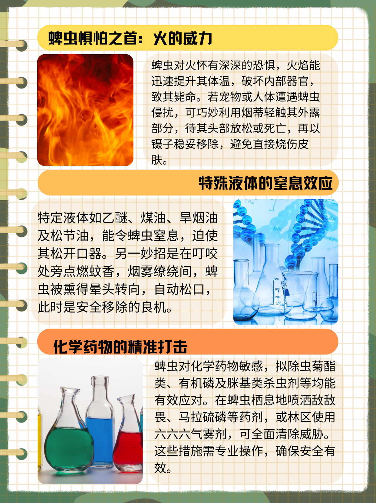 蜱虫是一种常见的寄生虫,它们会附着在人或动物的皮肤上吸血,并可能