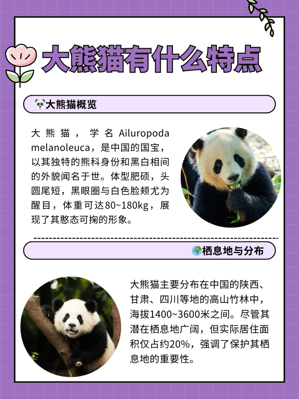 zaixiandaili,附详细介绍