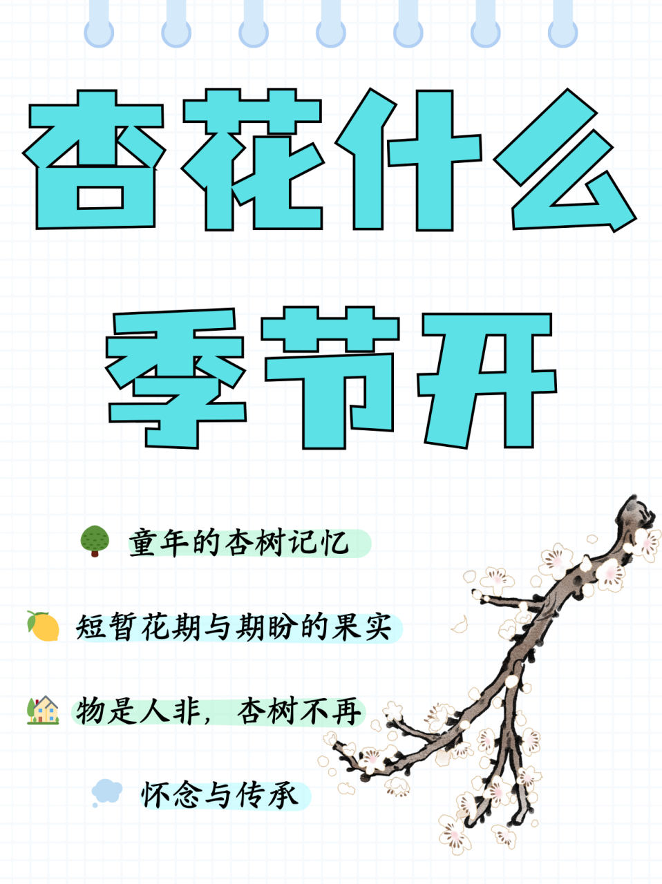 杏花什么季节开  儿时记忆中印象最深的树是姥姥家得那棵杏树,听妈妈