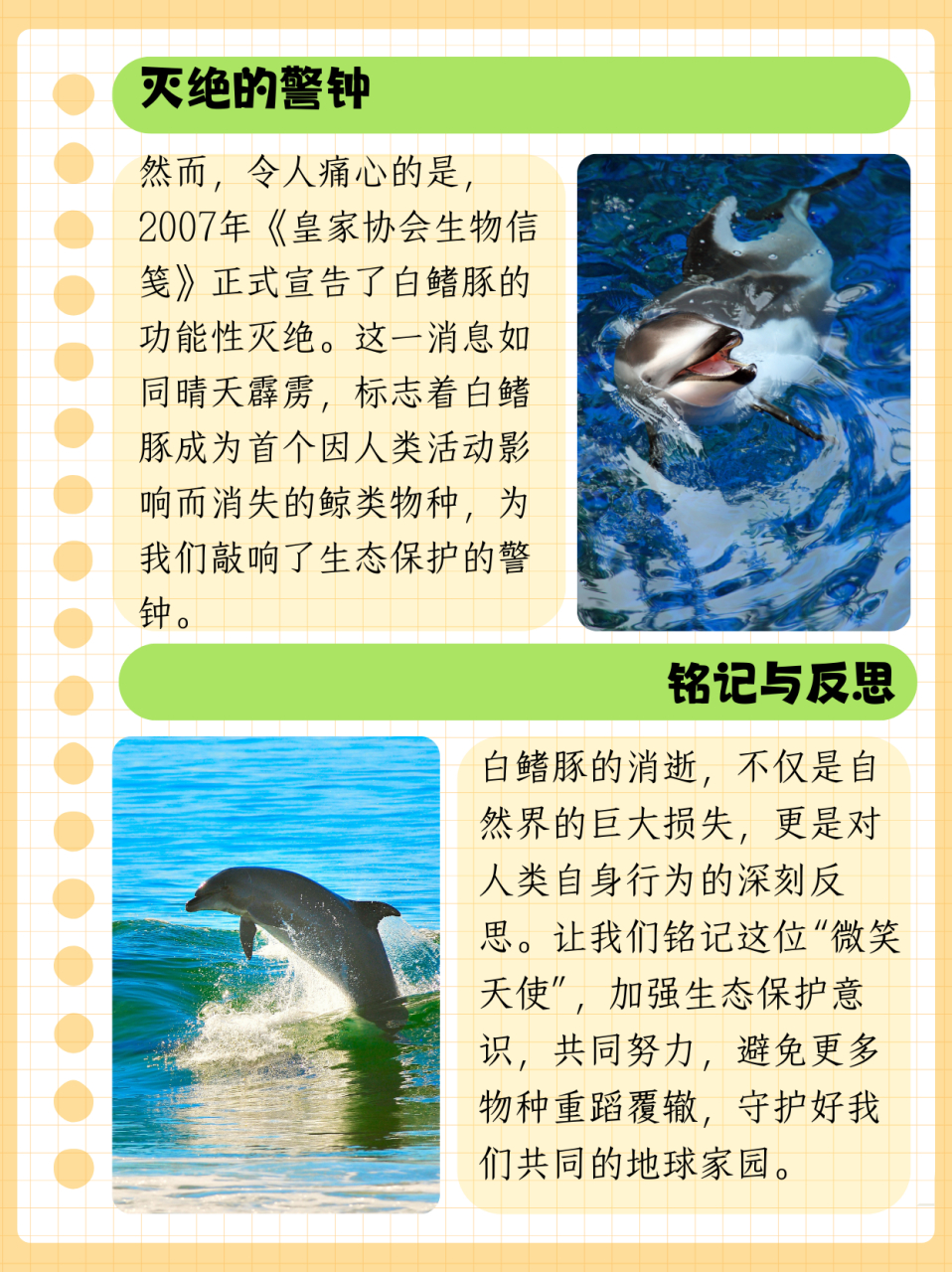 保护白鳍豚海报英语图片