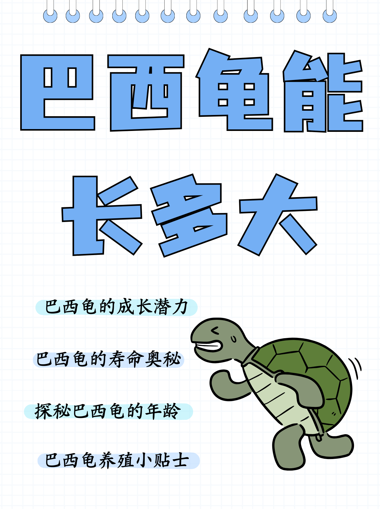 那么巴西龟能长多大呢?下面就和小编一起去了解一下吧