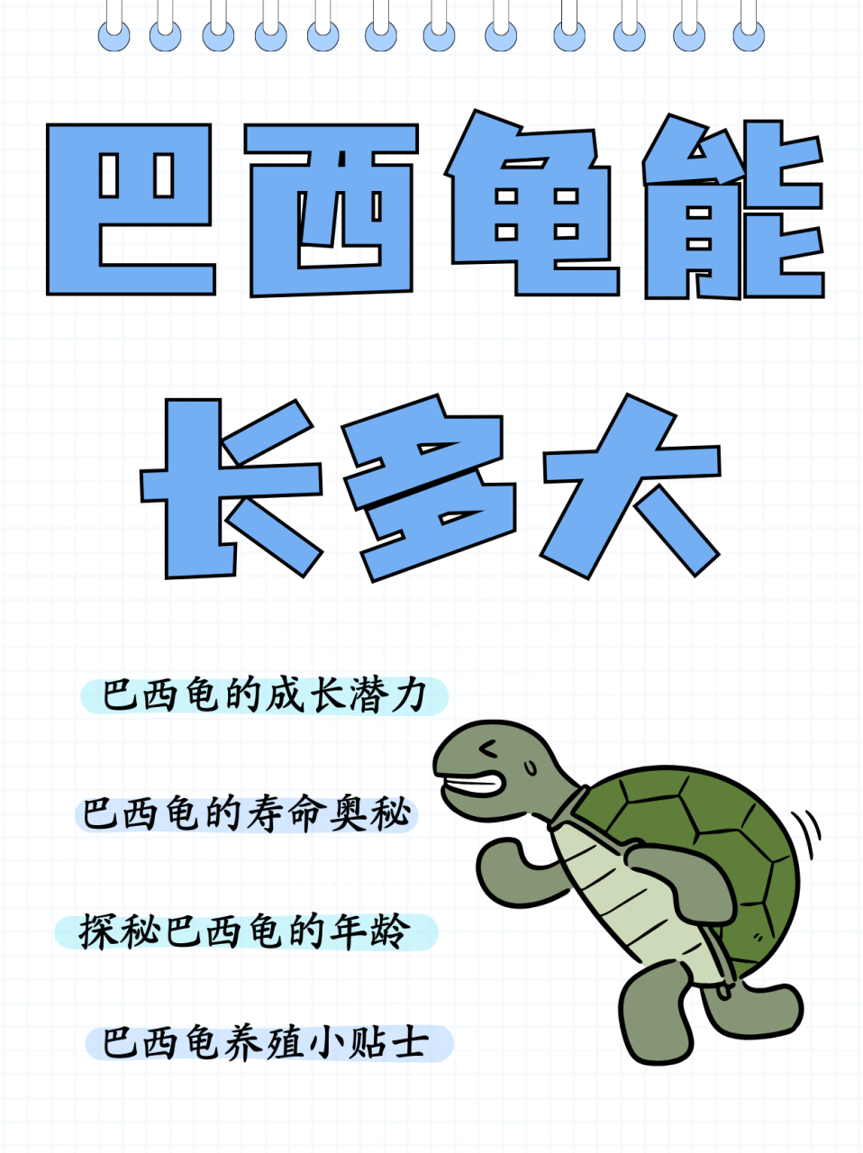 那么巴西龟能长多大呢?下面就和小编一起去了解一下吧.