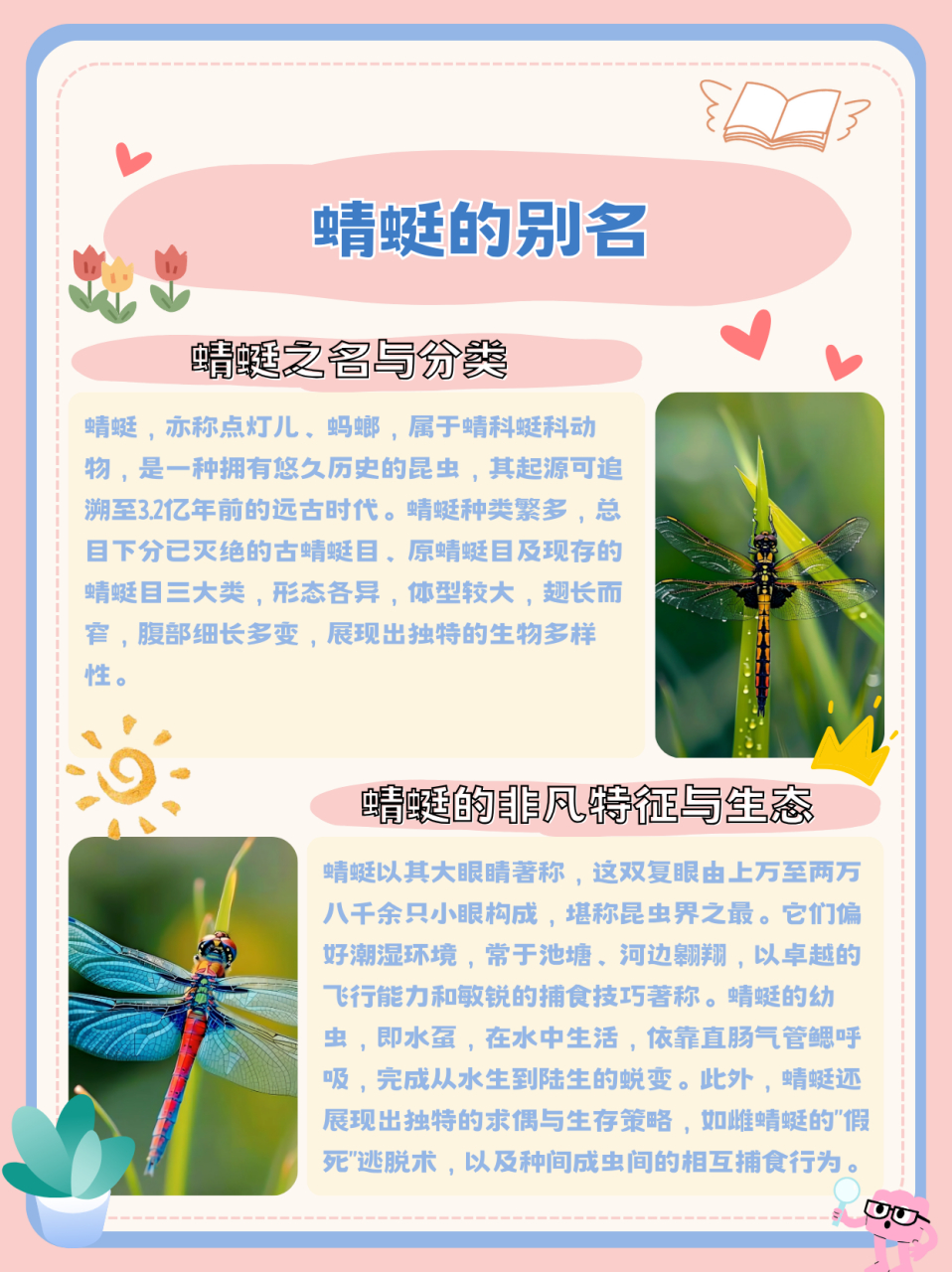 蜻蜻蜓闪光进化图片