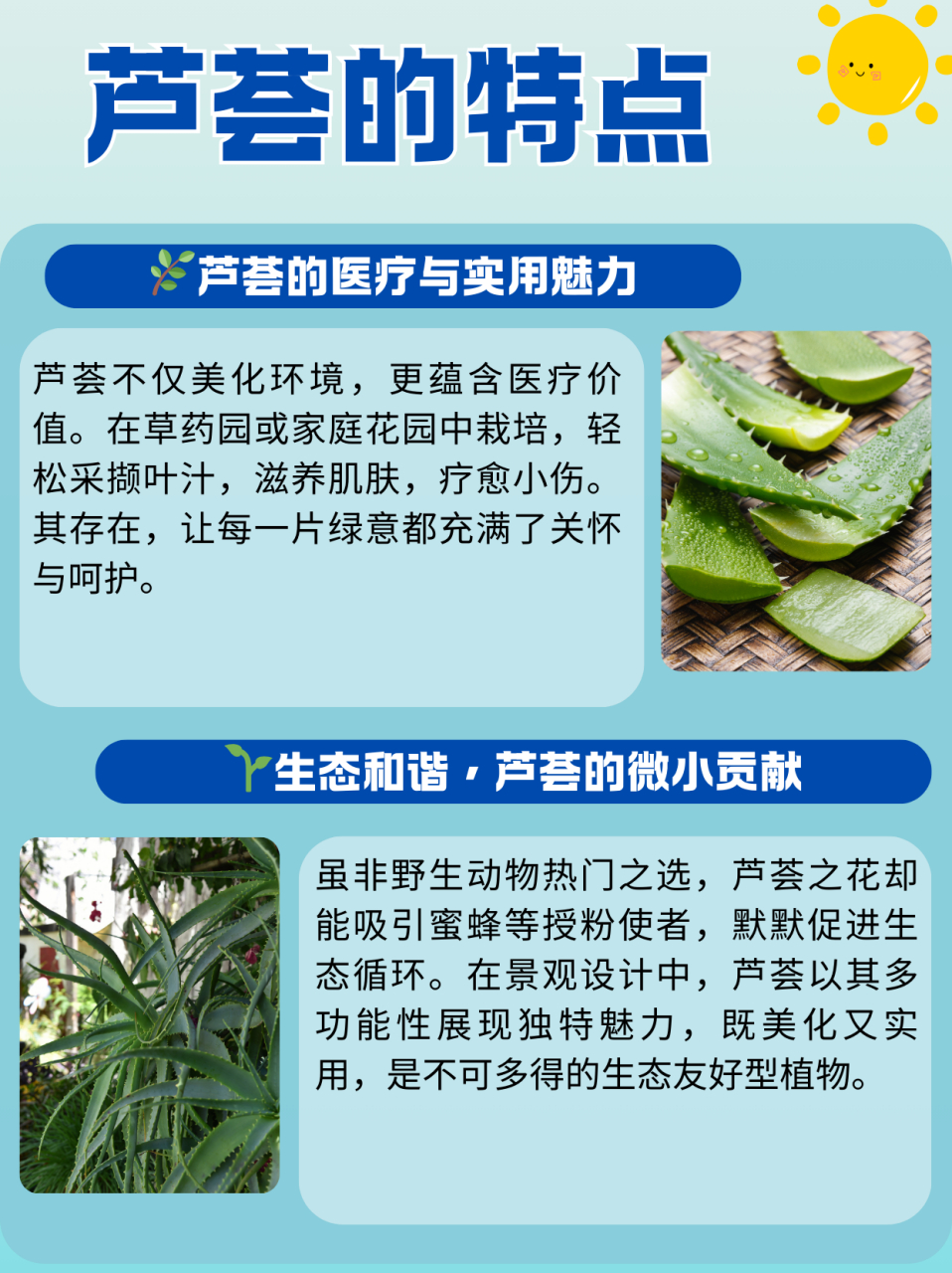 芦荟的特点  芦荟(medicinal aloe),学名aloe vera,是一种在景观设计