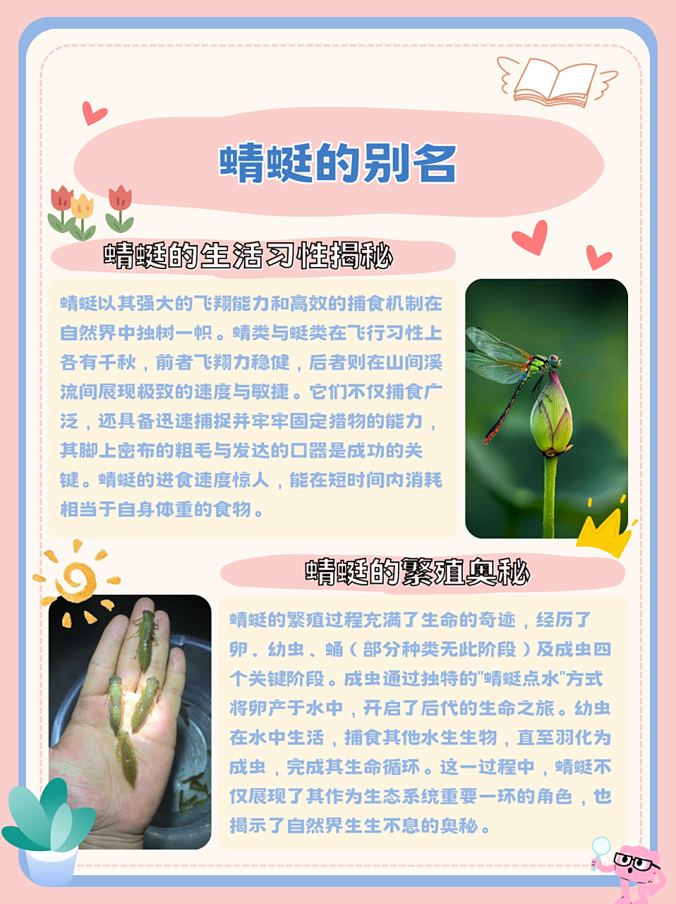 蜻蜓的别名  名称:蜻蜓 78别名:点灯儿,蚂螂,蜻科蜓科动物 78简介