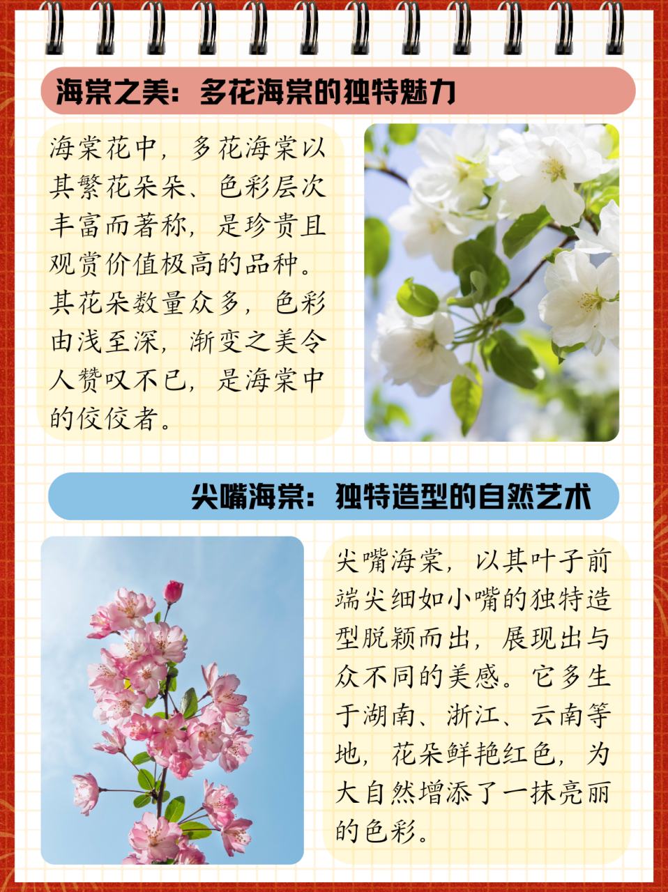 海棠花最名贵排名  海棠排行榜: 1,多花海棠 在海棠花中有着多花海棠