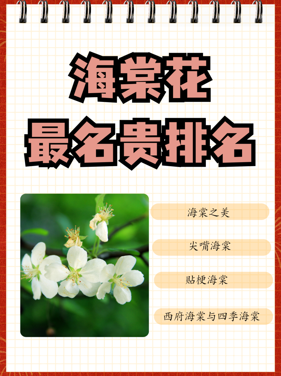 海棠花最名贵排名  海棠排行榜: 1,多花海棠 在海棠花中有着多花海棠