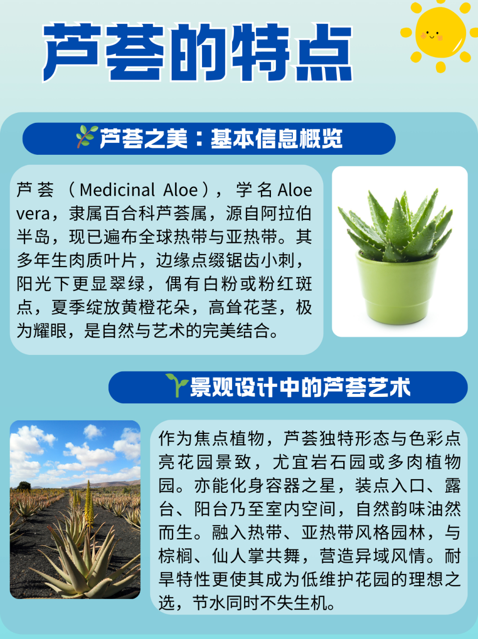 芦荟的特点  芦荟(medicinal aloe),学名aloe vera,是一种在景观设计