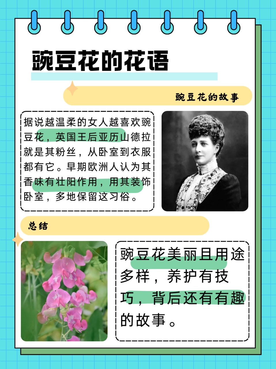 豌豆花的花语  花语花事35-豌豆花 别名:香豌豆,花豌豆,腐香豌豆 花语