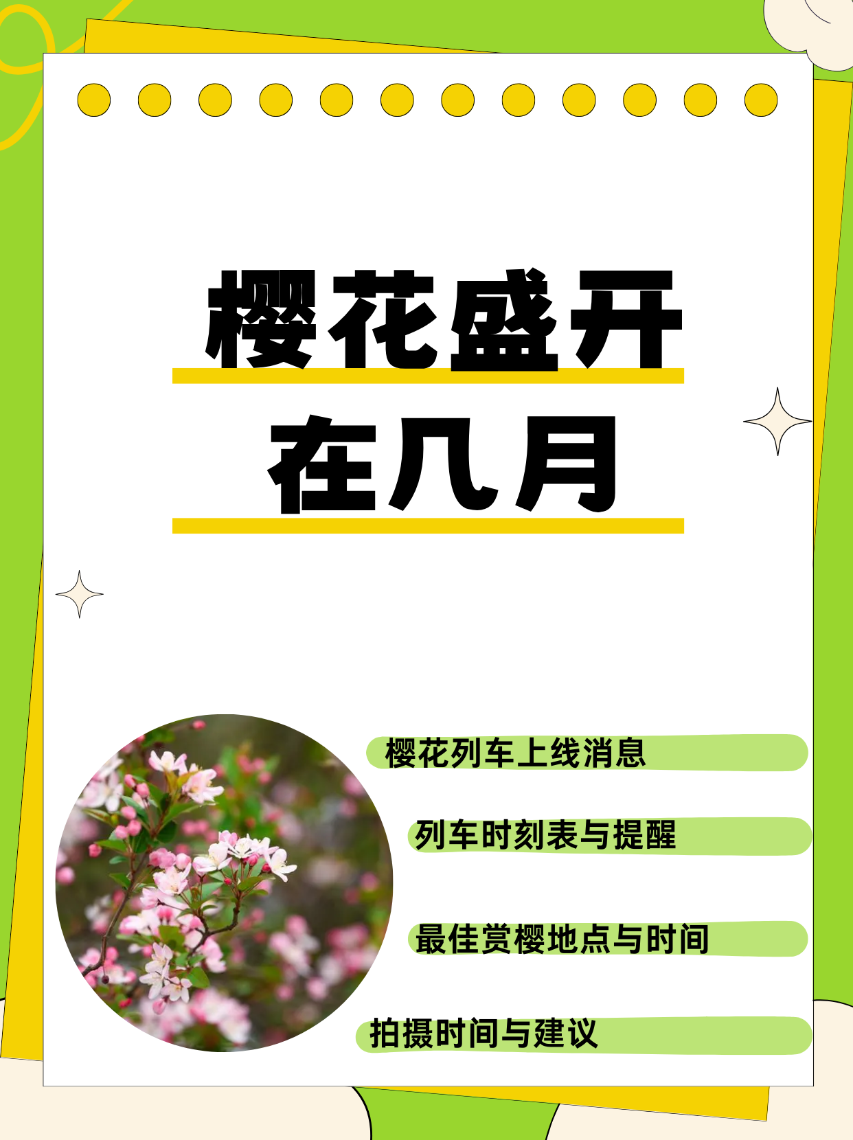 樱花盛开在几月  苏州官方发布啦!