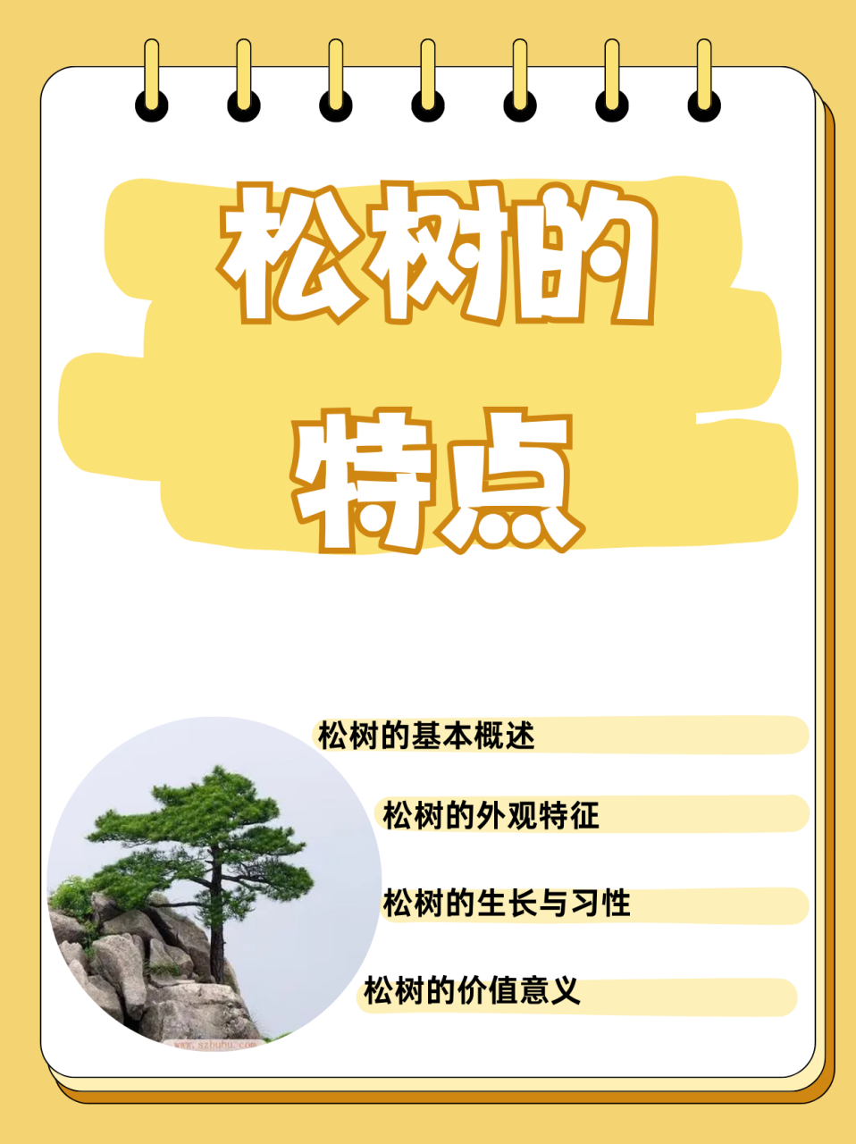 松树的特点  松树是松科植物的通称,属于裸子植物门,松亚门,松纲,是