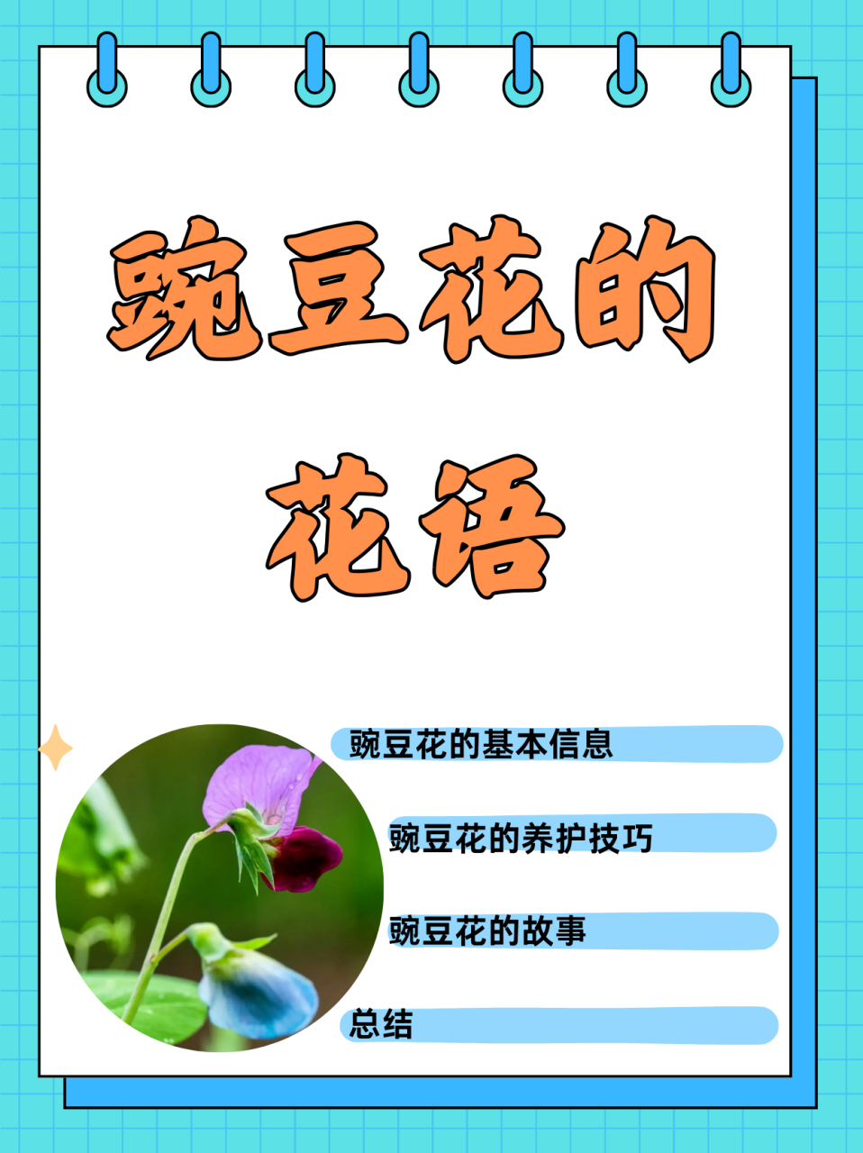 豌豆花的花语  花语花事35-豌豆花 别名:香豌豆,花豌豆,腐香豌豆 花语