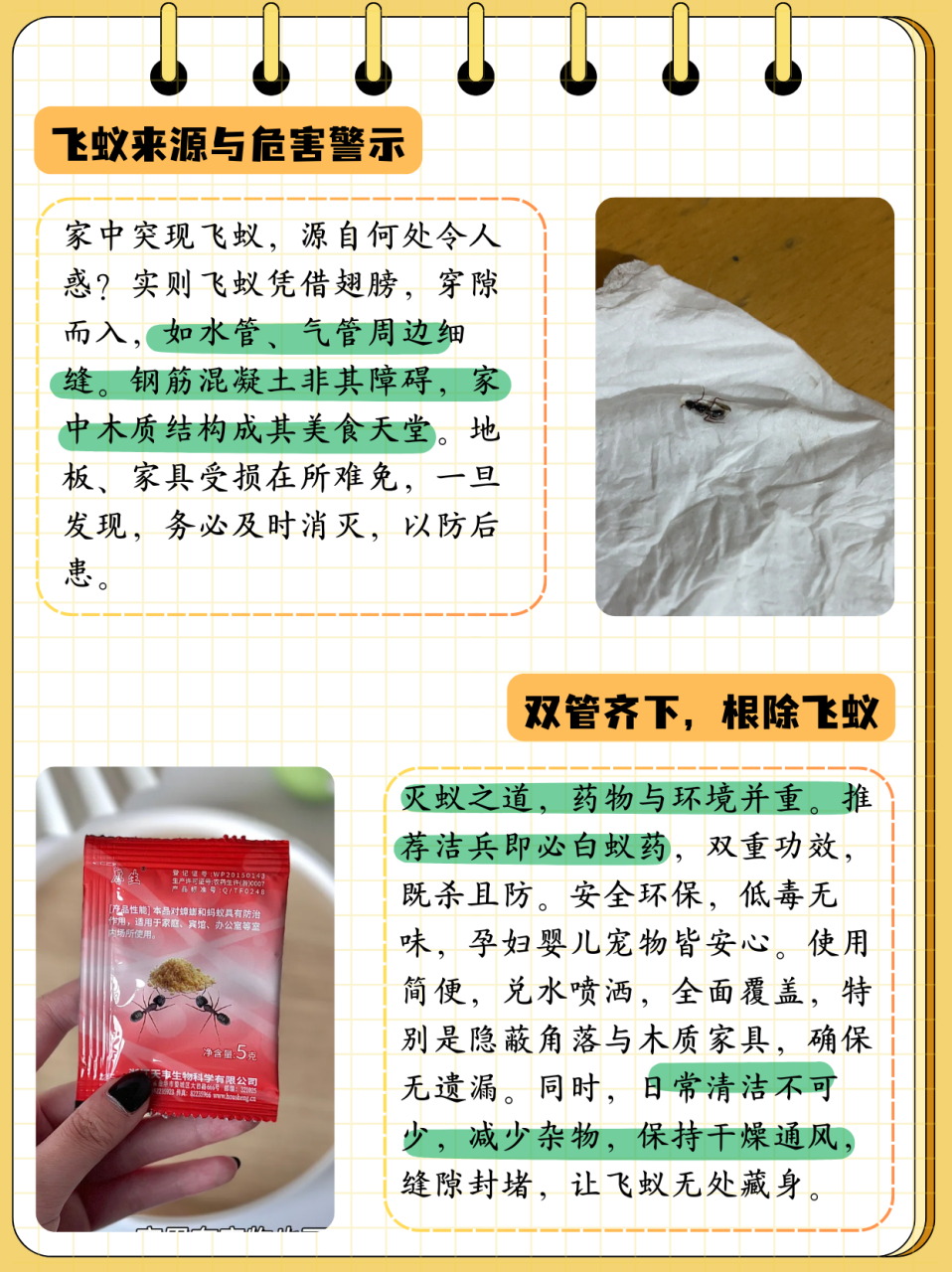 带翅膀的蚂蚁是什么蚂蚁怎样消灭  很多人在家里发现飞蚁后,都不知道