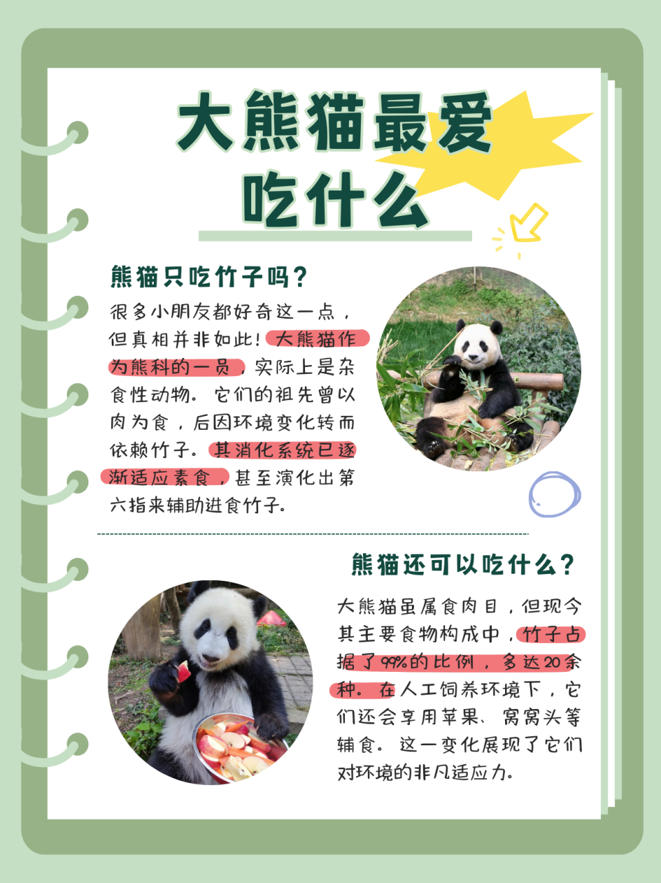 大熊猫最爱吃什么  那么熊猫只吃竹子吗?