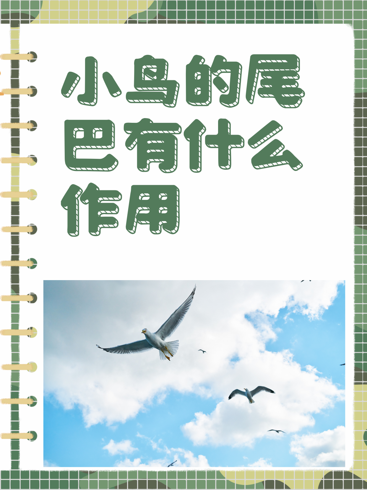  飛機的作用與用途_飛機的作用力有哪些