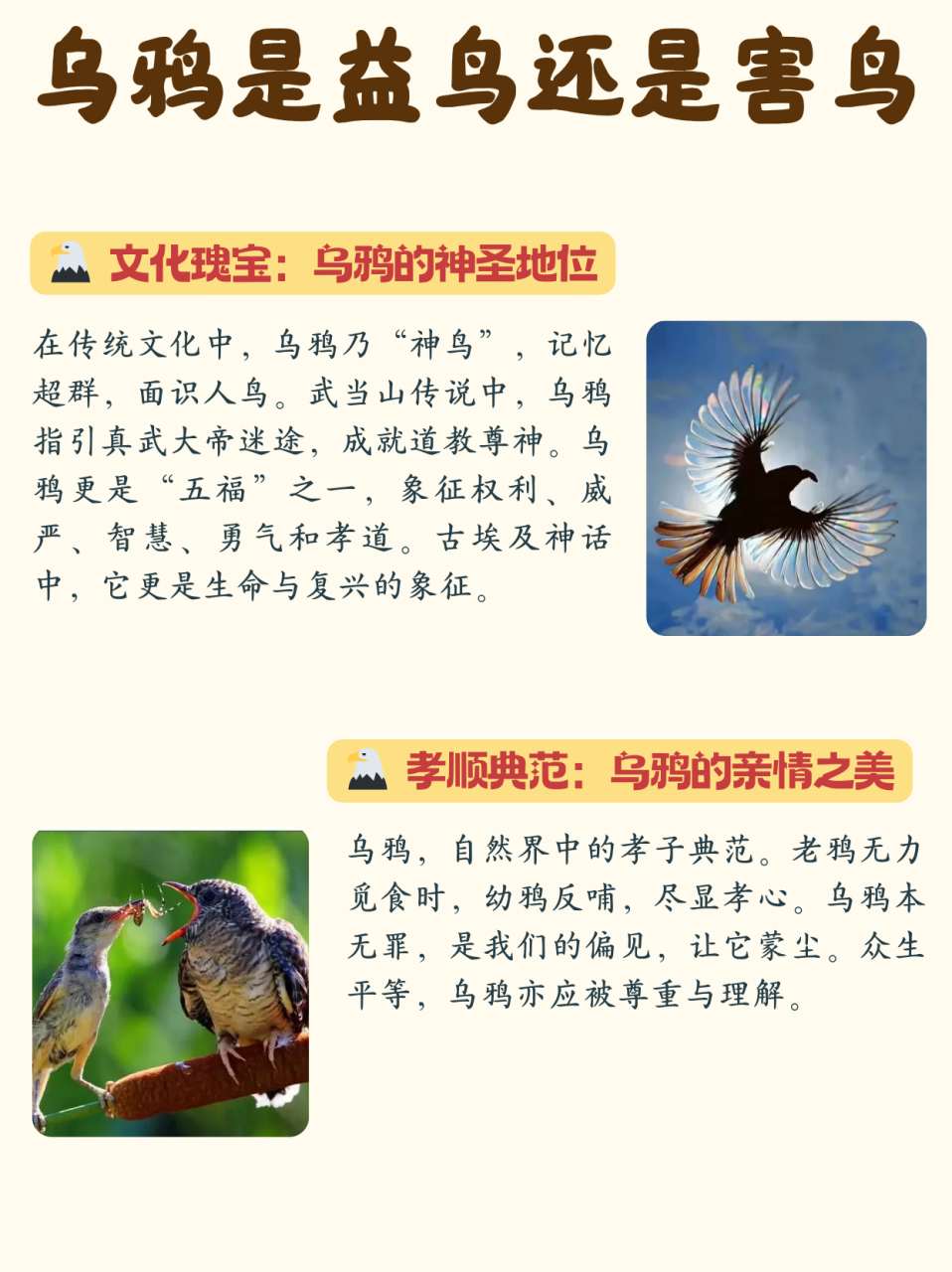 小乌鸦叫声图片