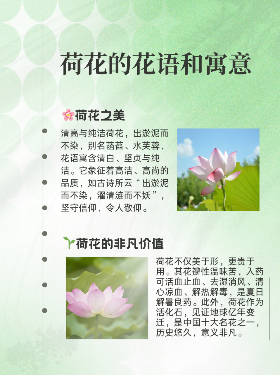 荷花的花语和寓意  荷花～知多少 92荷花:出淤泥而不染 92别名