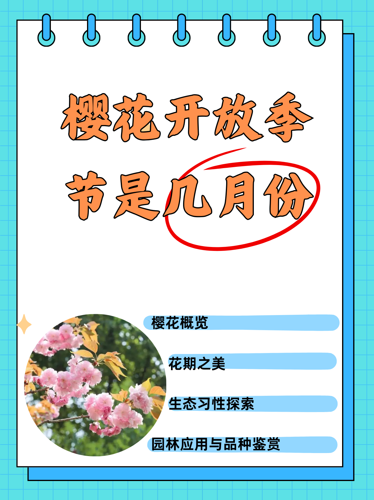 樱桃李花花语图片