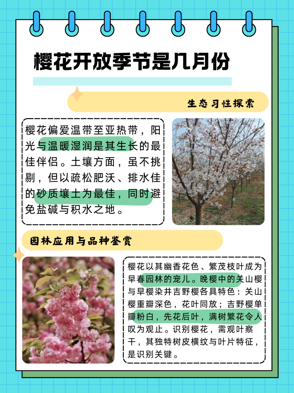 樱花开放季节是几月份  植物分享——樱花 樱花是蔷薇科,樱亚属植物.