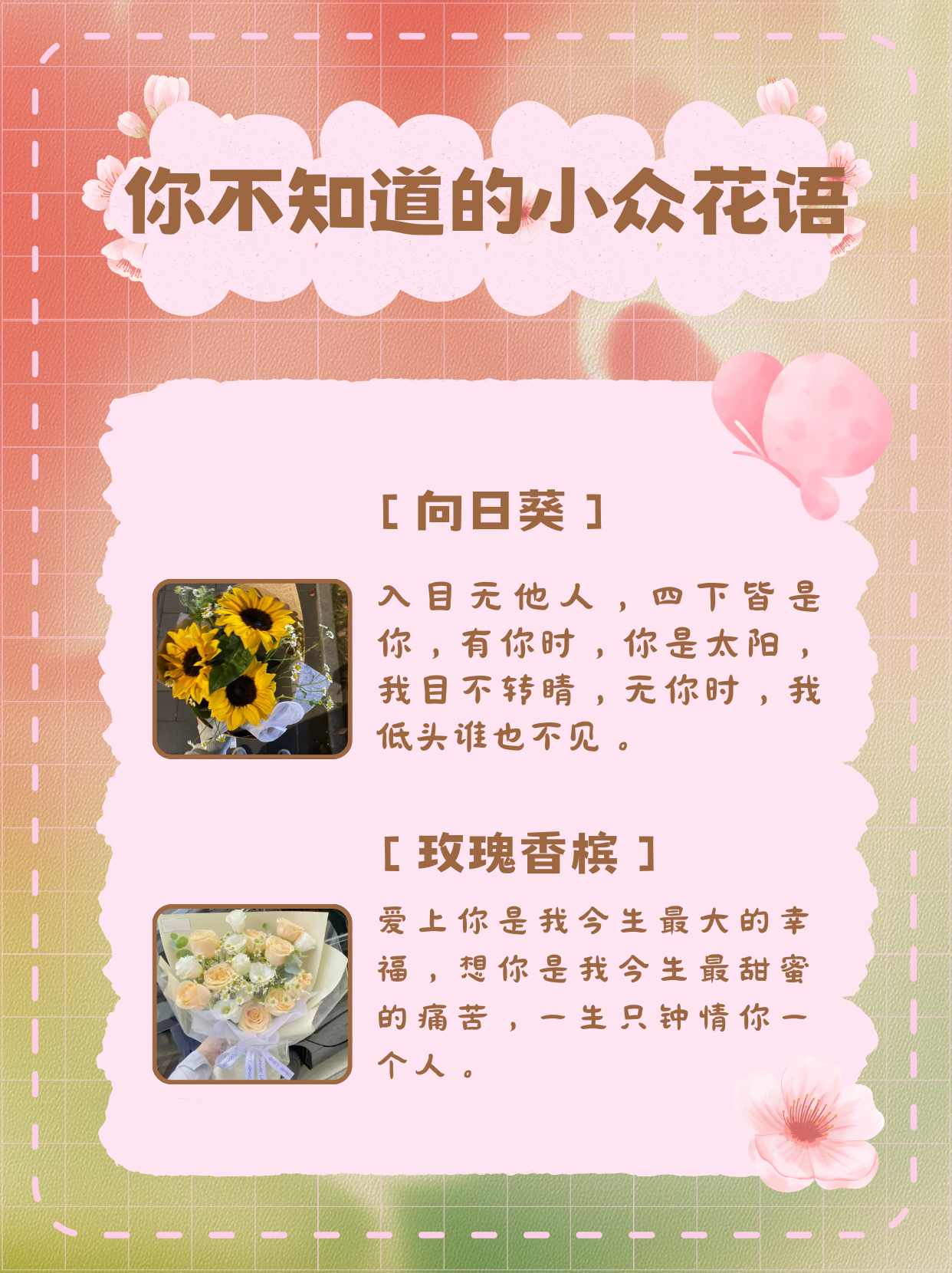 雏菊花语是什么  你不知道的小众花语 茉莉花:送君茉莉,愿君莫离.