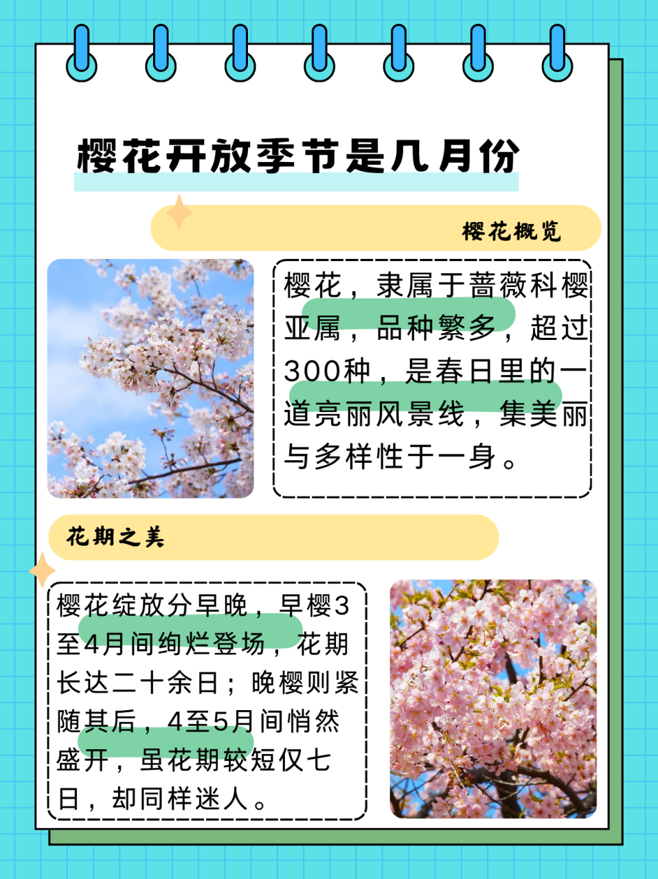 樱花开放季节是几月份  植物分享——樱花 樱花是蔷薇科,樱亚属植物.