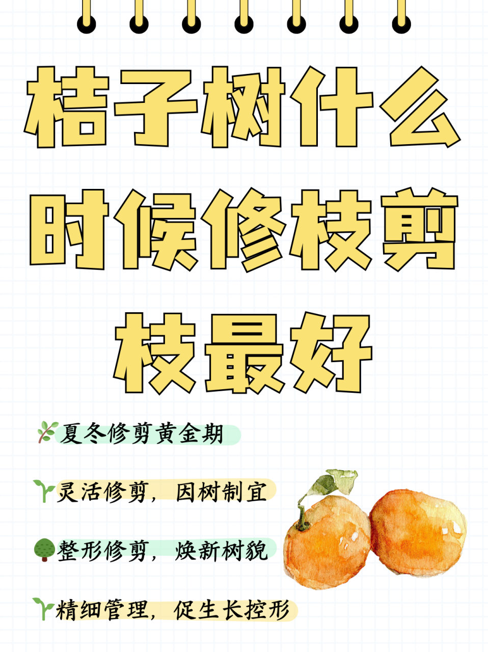 桔子树什么时候修枝剪枝最好  一般来说,桔子树的修