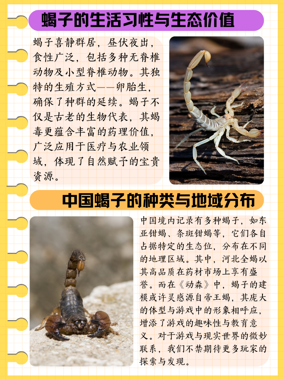 蝎子的生活环境及特点  97动森里面蝎子的活跃时间,在北半球是5月到