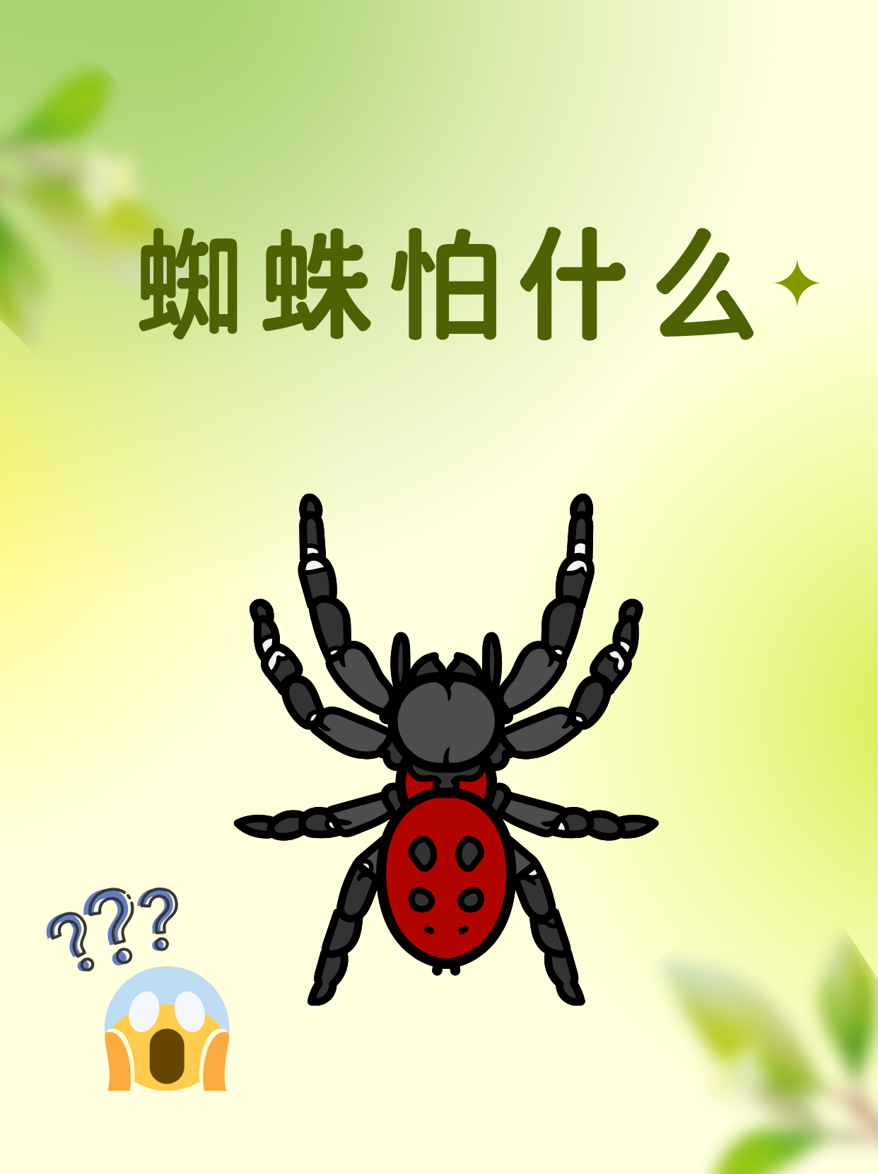 蜘蛛有关的好听网络名=用蜘蛛做网名是什么意思
