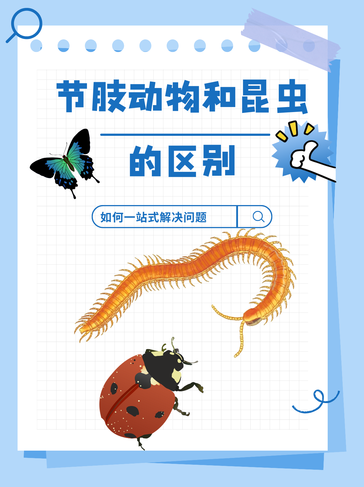 一,生物类别 节肢动物:节肢动物是动物界中最